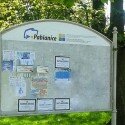 Usługi plakatowania